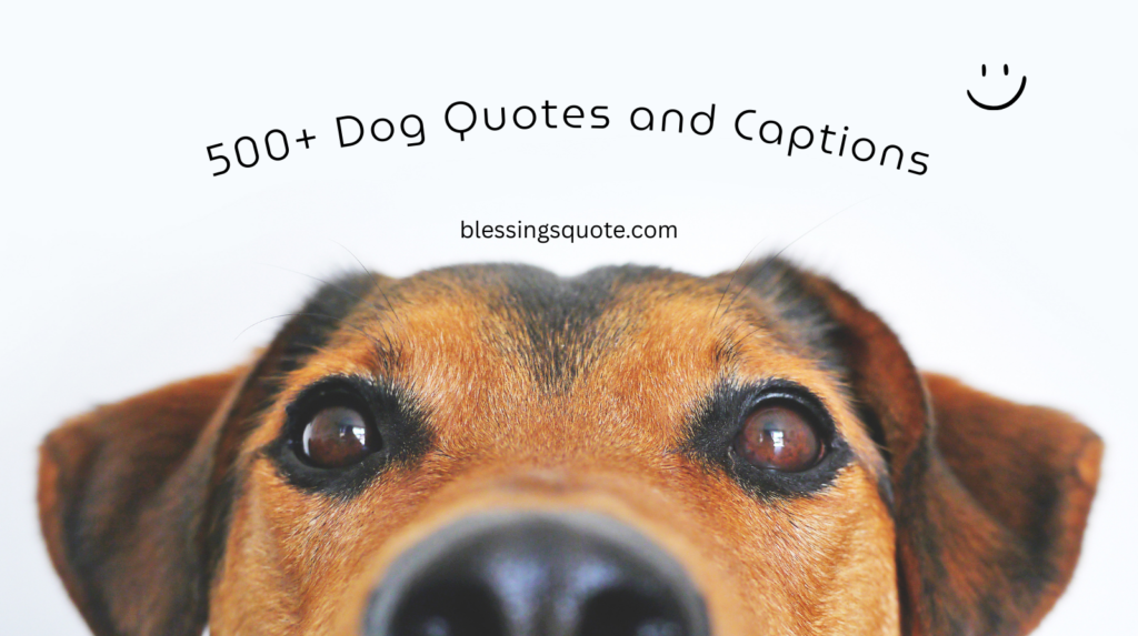 500+ Dog Quotes and Captions