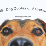 500+ Dog Quotes and Captions