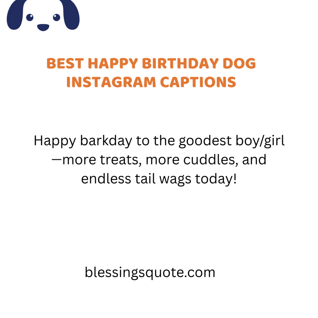 Best Happy Birthday Dog Instagram Captions