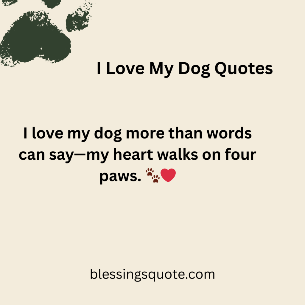 I Love My Dog Quotes