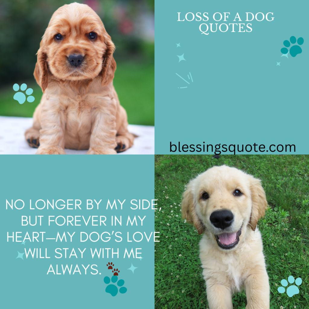 Loss of a Dog Quotes