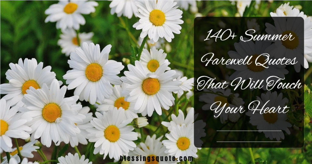 140+ Summer Farewell Quotes That Will Touch Your Heart 2026