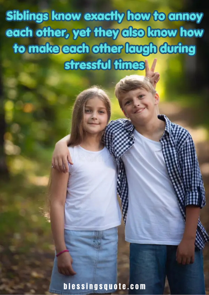 Funny Brother And Sister Quotes 