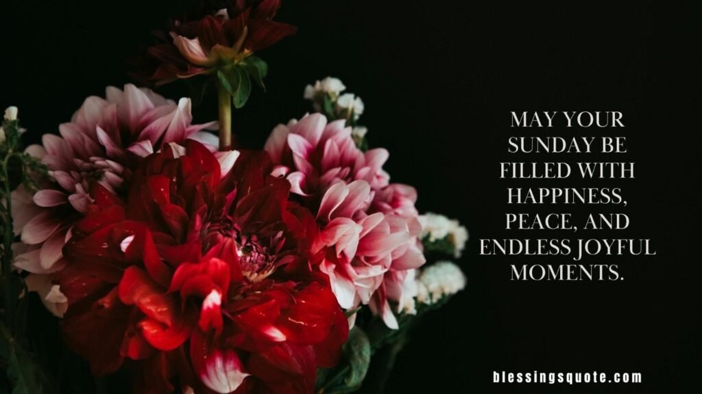 Happy and Blessed Sunday