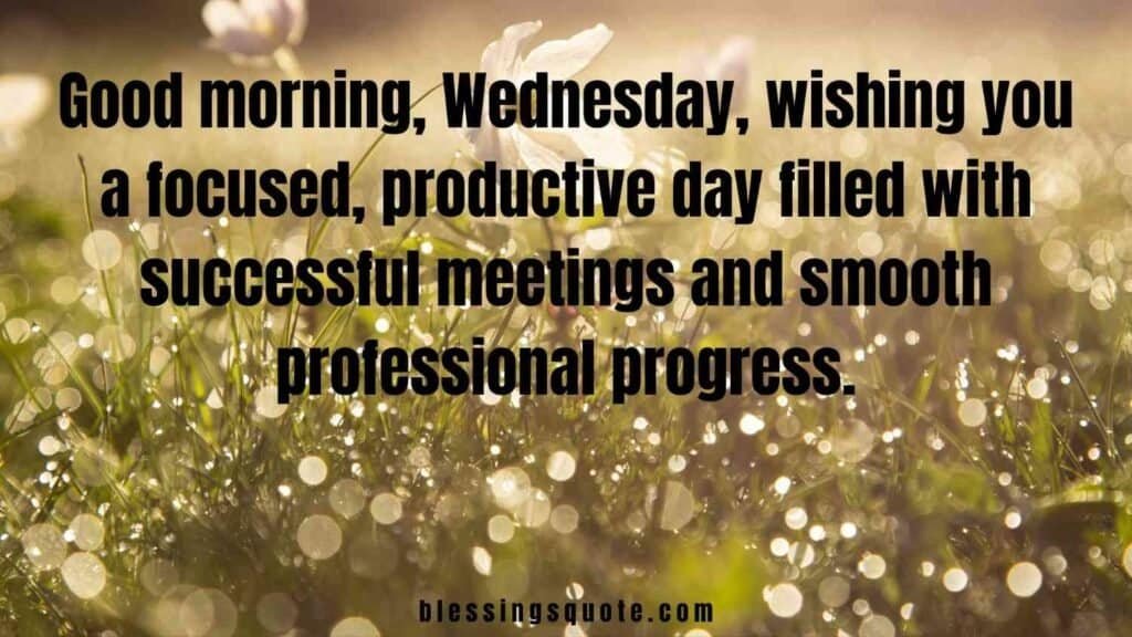 Professional Good Morning Messages for Wednesday